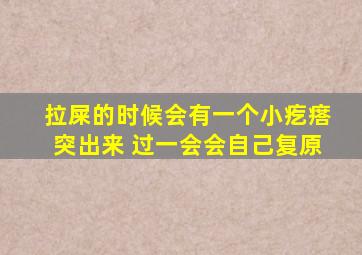 拉屎的时候会有一个小疙瘩突出来 过一会会自己复原